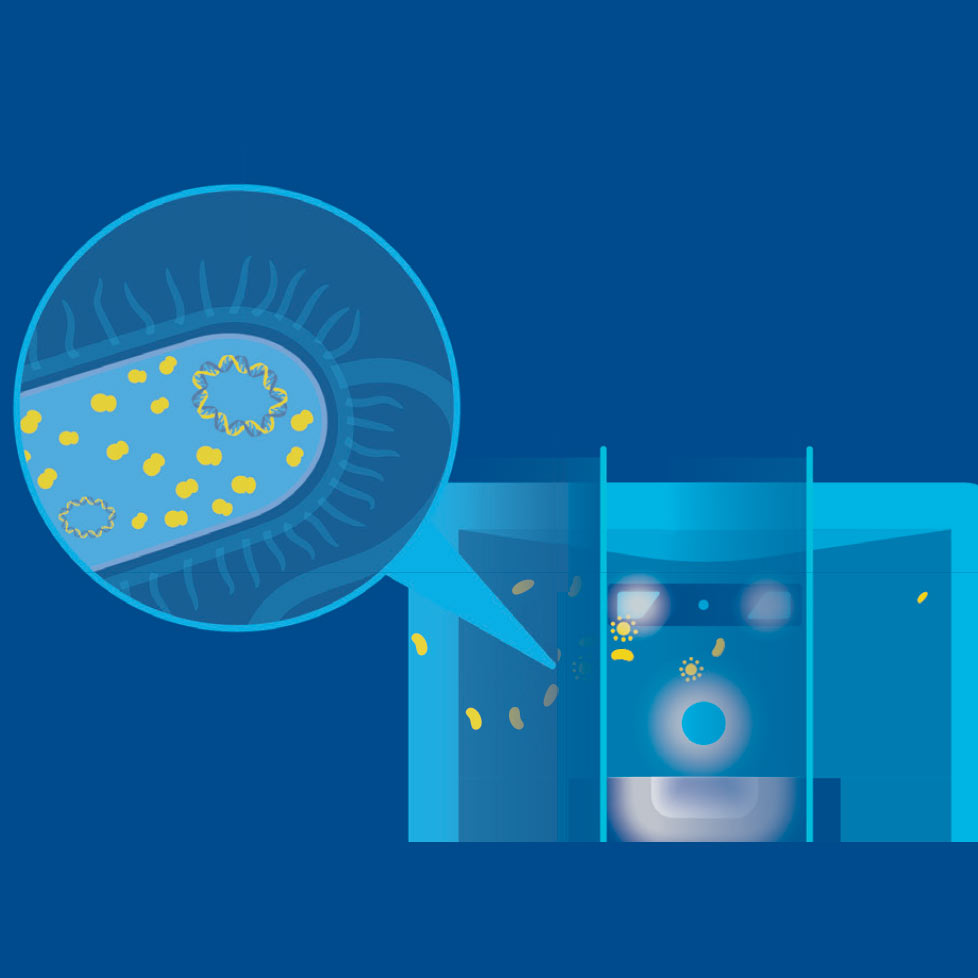 La tecnología de iones de plata reduce el crecimiento de los microbios